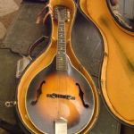 388 7318 Mandolin